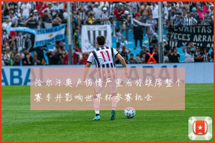 恰尔汗奥卢伤情严重或将缺席整个赛季并影响世界杯参赛机会