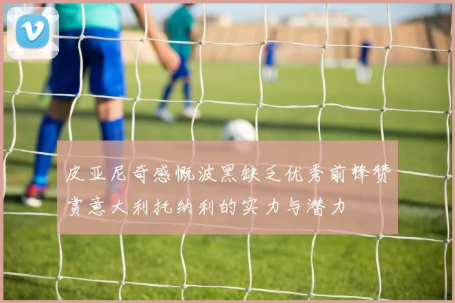 皮亚尼奇感慨波黑缺乏优秀前锋赞赏意大利托纳利的实力与潜力